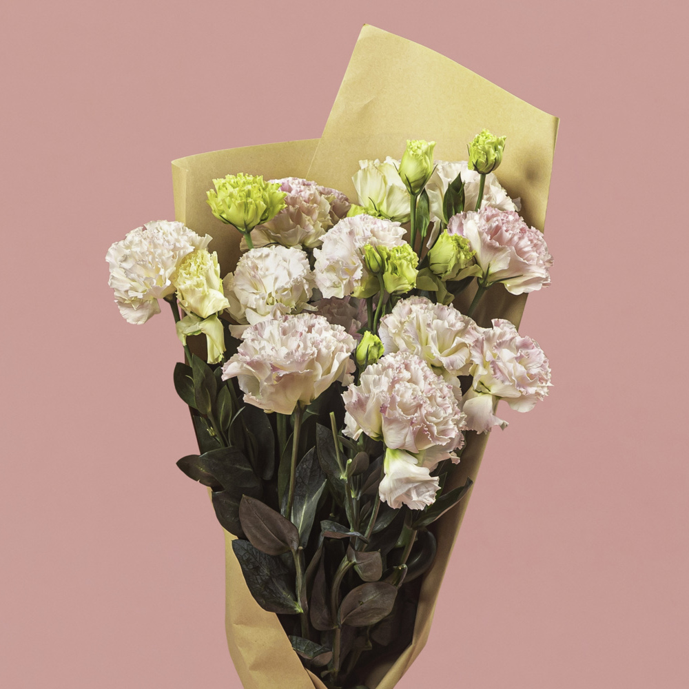 Lisianthus Light Pink