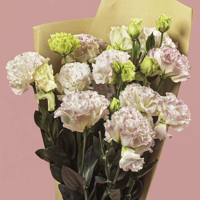 Lisianthus Light Pink