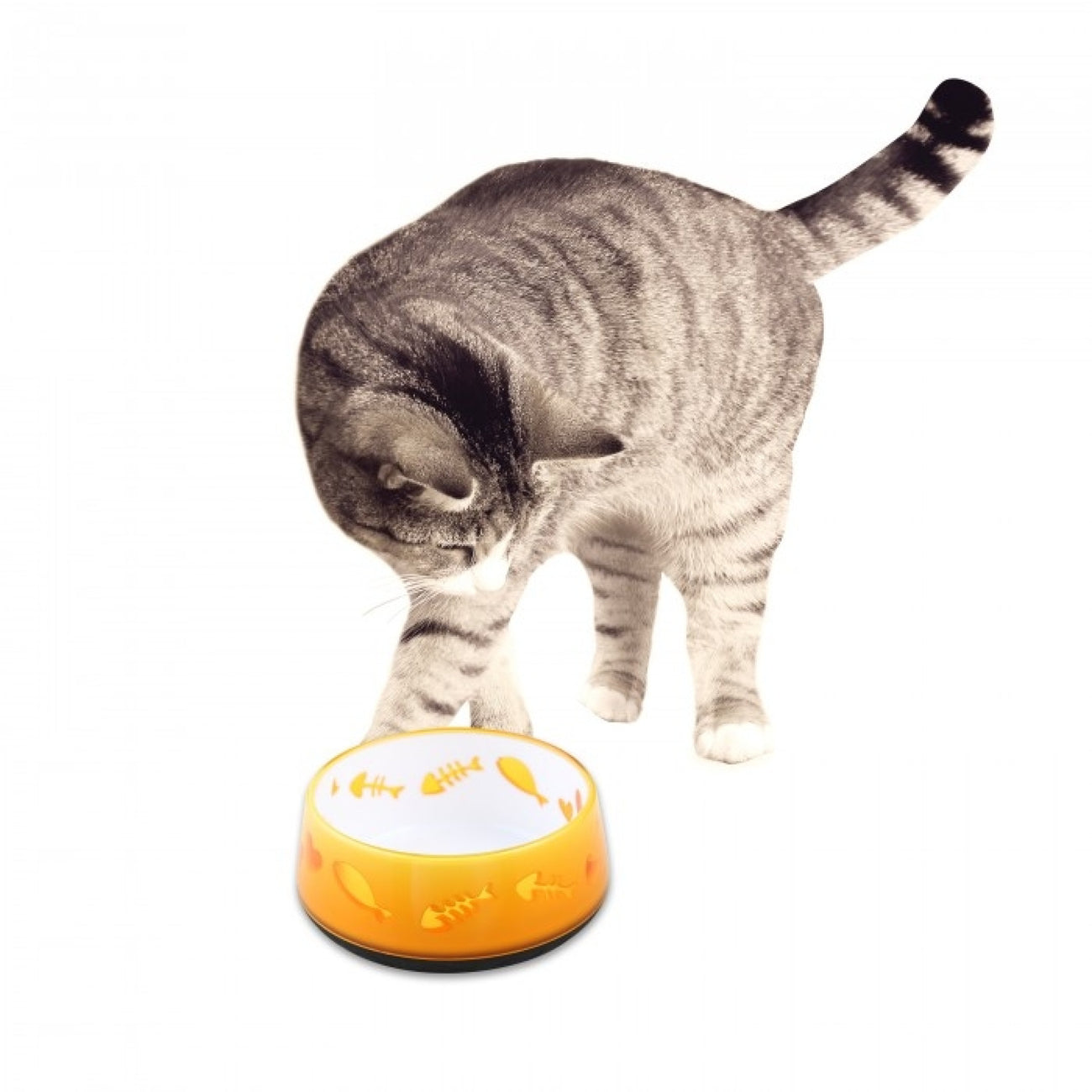 All for Paws Cat Love Bowl - Orange