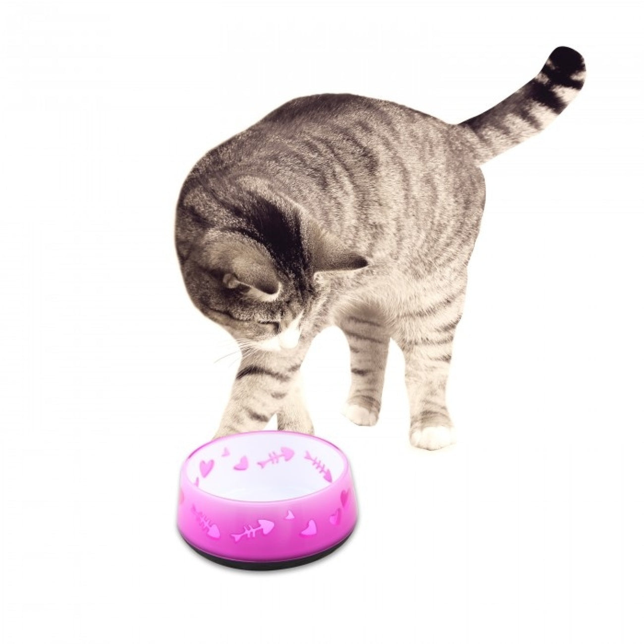 All for Paws Cat Love Bowl - Pink