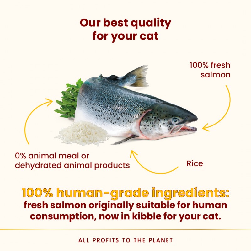 Almo Nature Adult Highly Appetizing - Salmon Dry Food 300 g