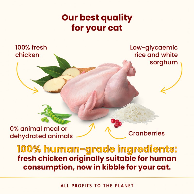 Almo Nature Adult Sterilised - Chicken Dry Food 300 g