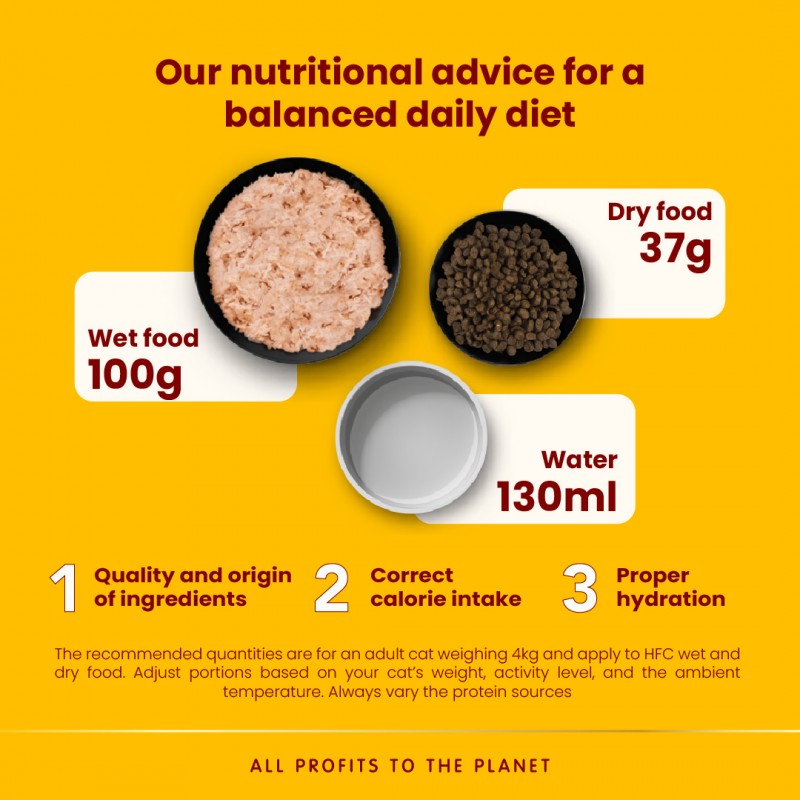 Almo Nature Highly Appetizing Chicken Fillet Wet food 50 g