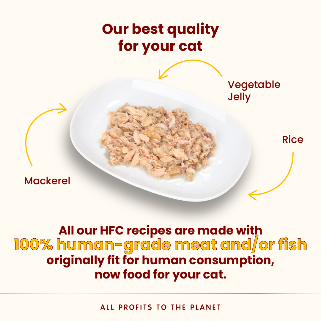 Almo Nature Jelly - Mackerel Wet food 70 g