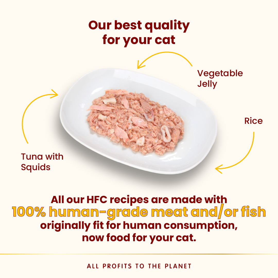 Almo Nature Jelly - Tuna and Squid Wet food 70 g