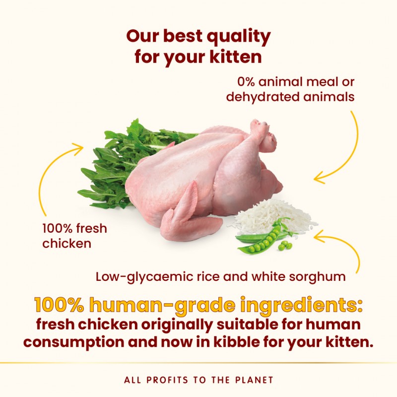 Almo Nature Kitten - Chicken  Dry Food Dry Food 300 g