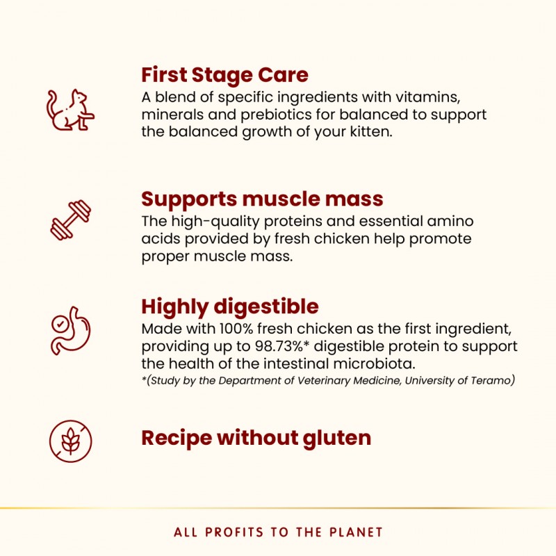 Almo Nature Kitten - Chicken  Dry Food Dry Food 300 g