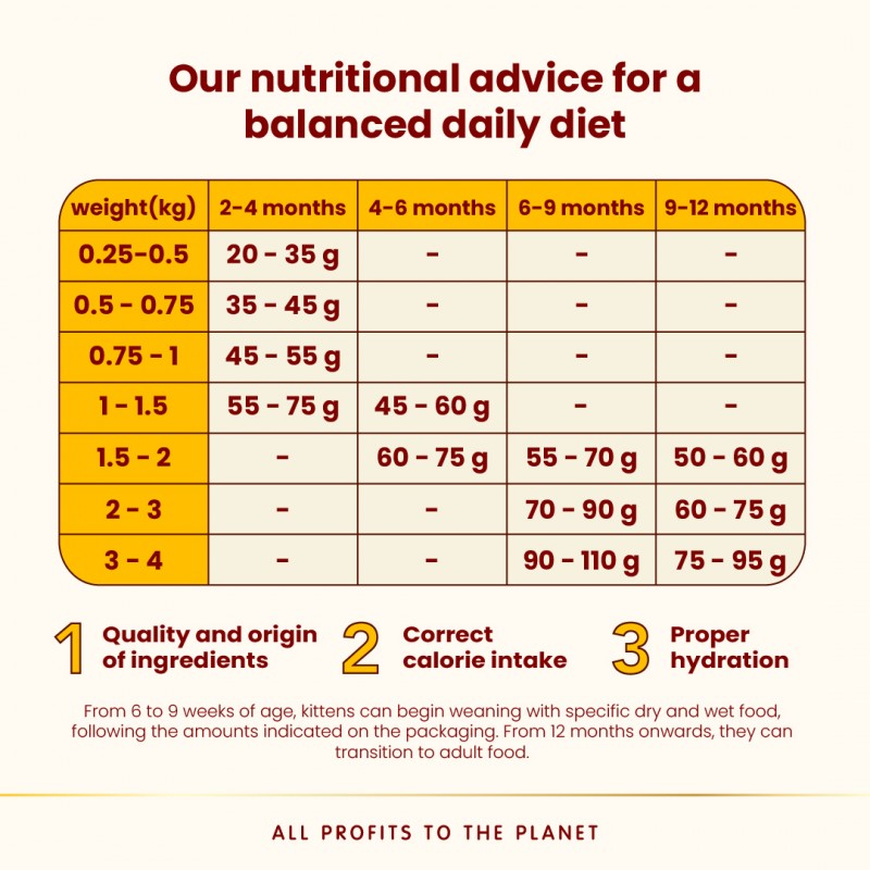 Almo Nature Kitten - Chicken  Dry Food Dry Food 300 g