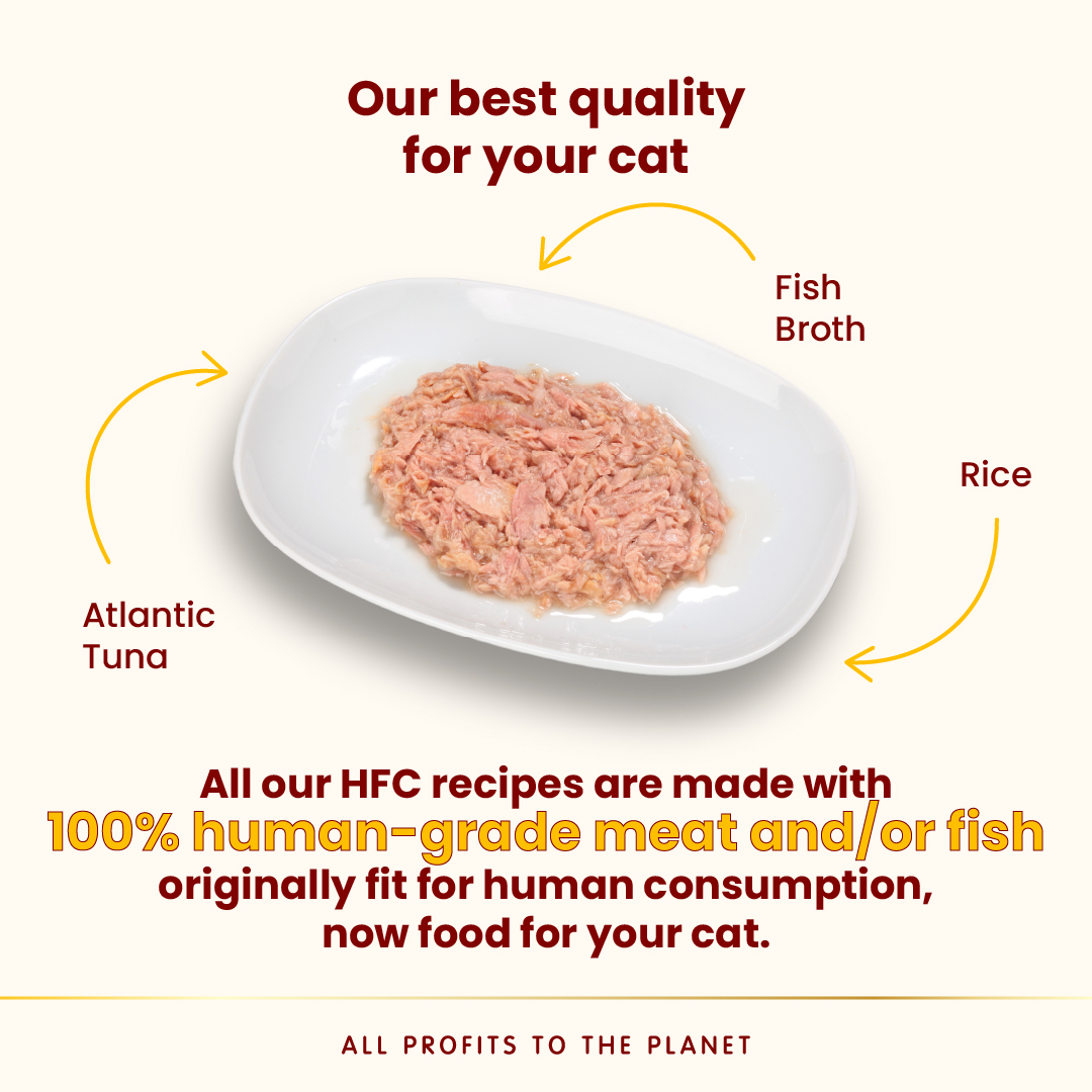 Almo Nature Natural - Atlantic Tuna Wet food 70 g - Pack of 12