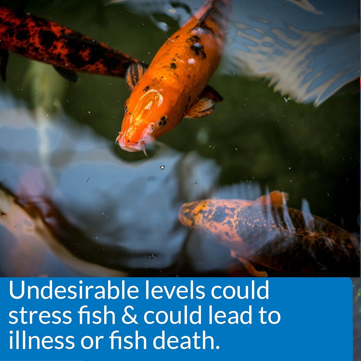 API 5in1 Pond Water Test Strips 25 count