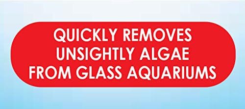 API Algae Pad For Glass Aquariums