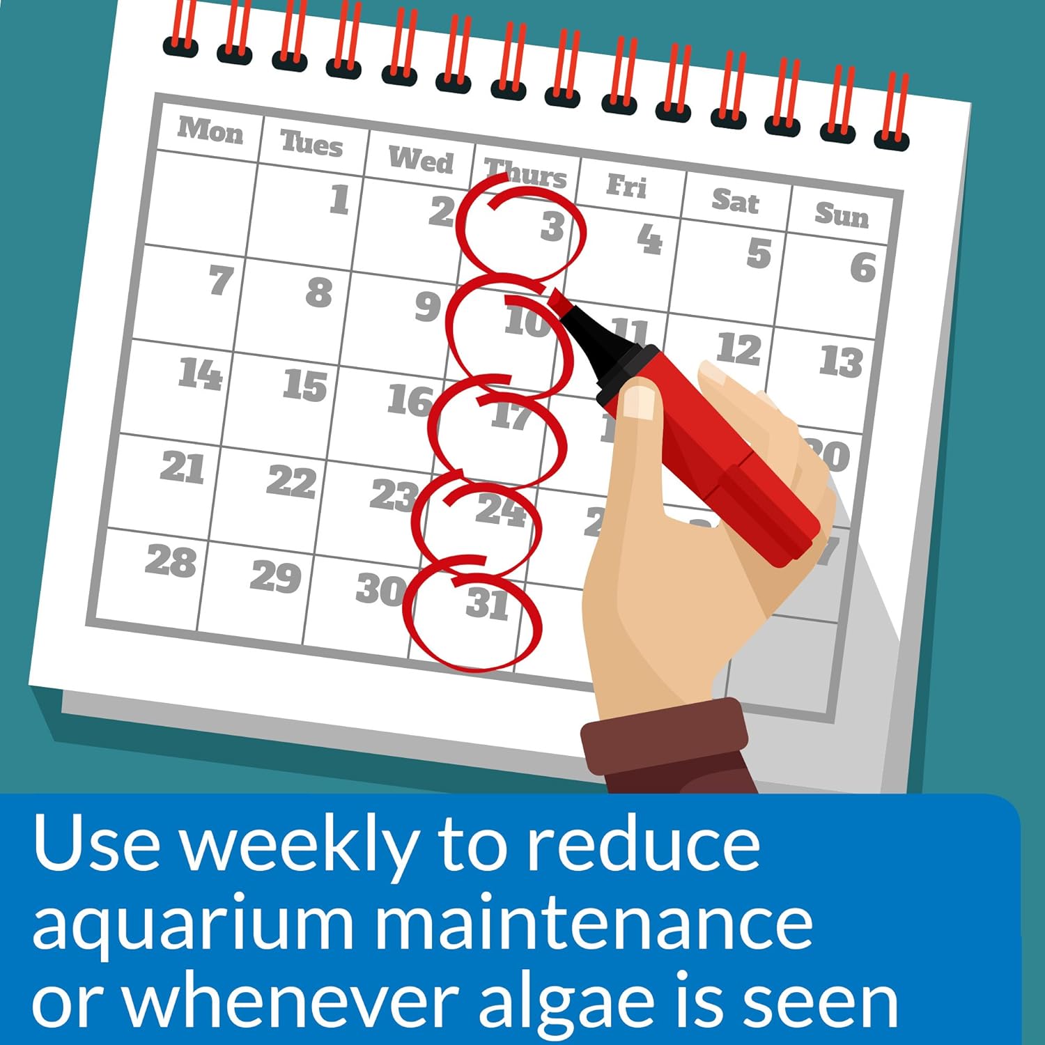 API Algaefix 1.25 oz