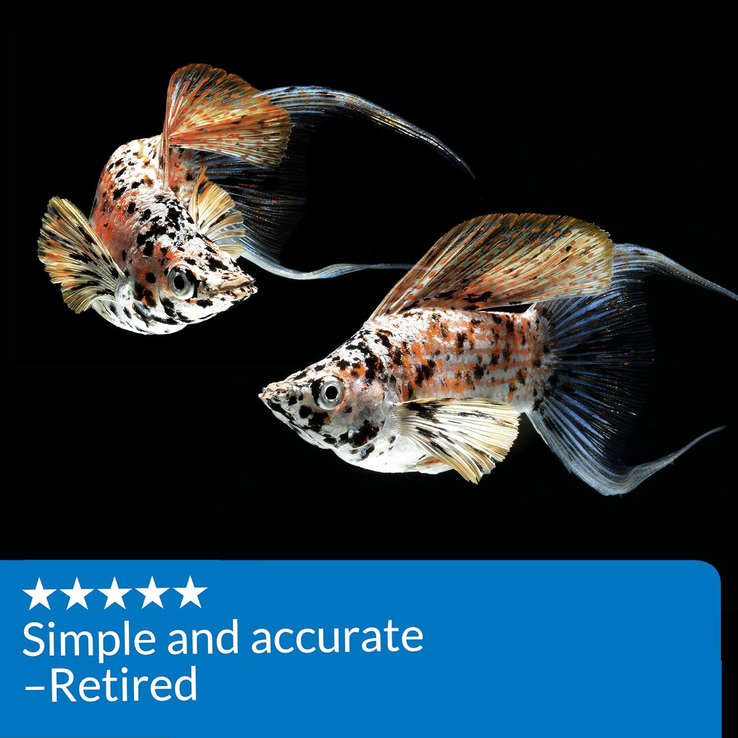 API Ammonia NH3/NH4 Test Strips, 25 count