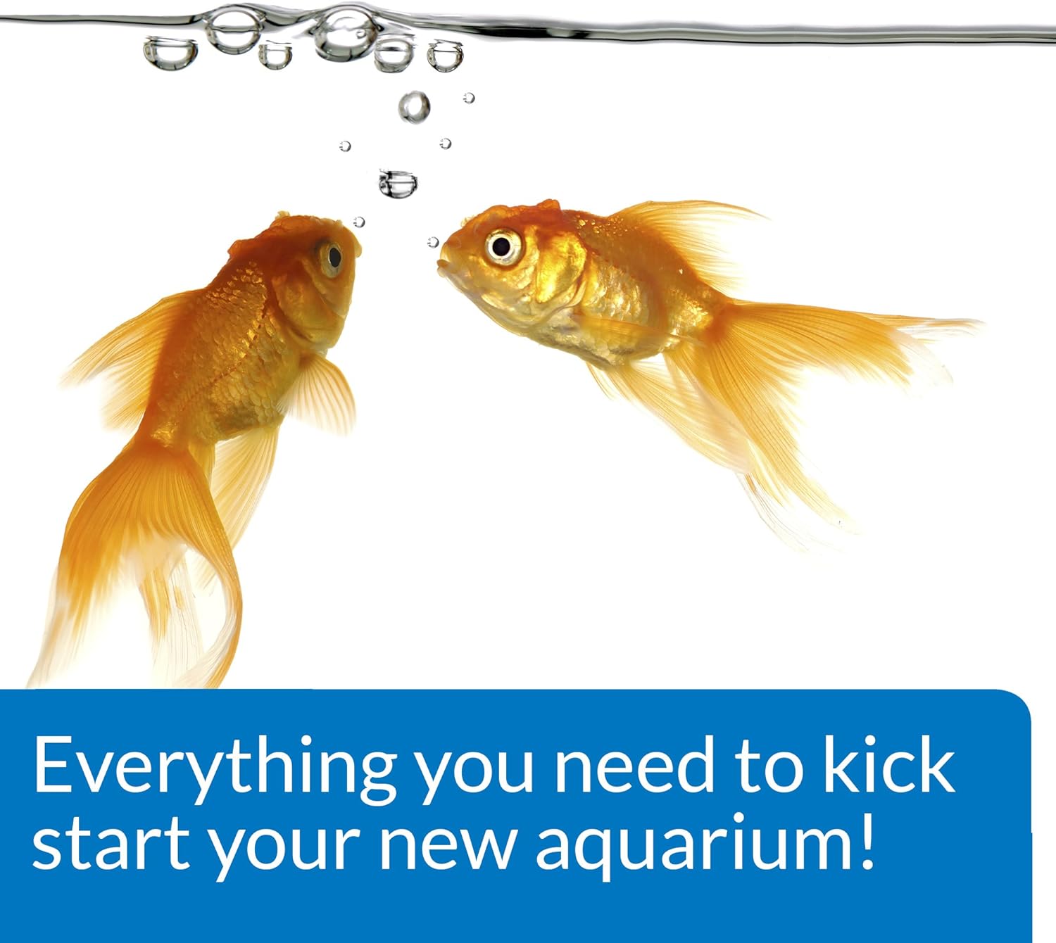 API Aquarium Start-Up Pack