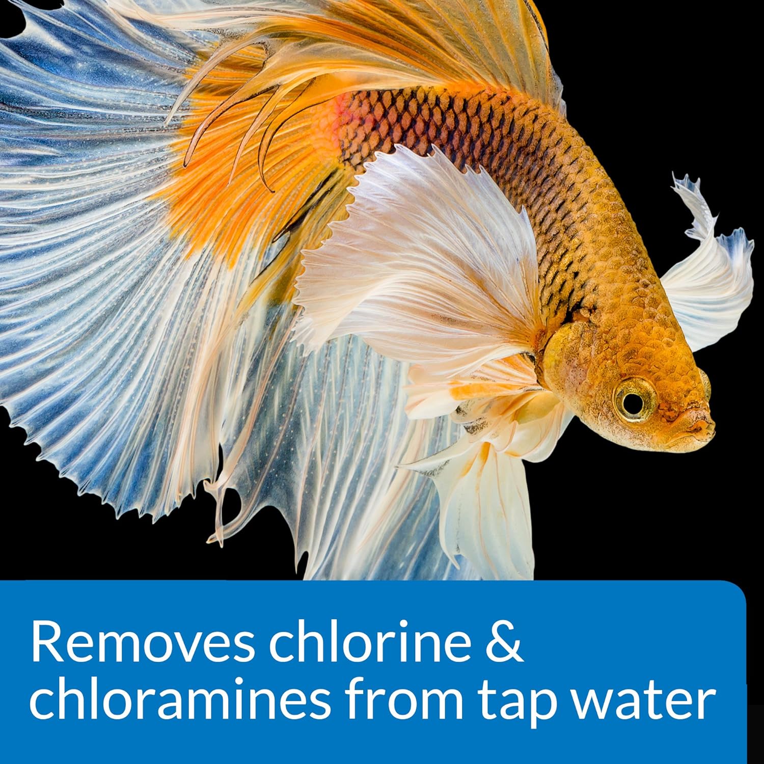 API Betta Water Conditioner 1.7 oz