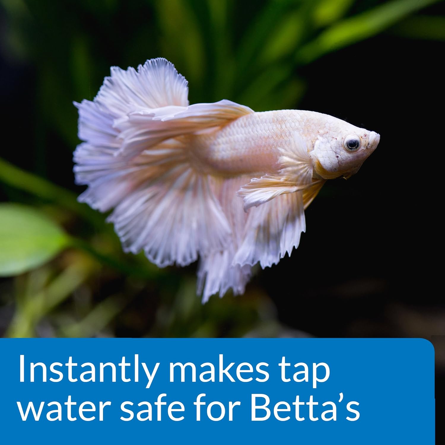 API Betta Water Conditioner 1.7 oz