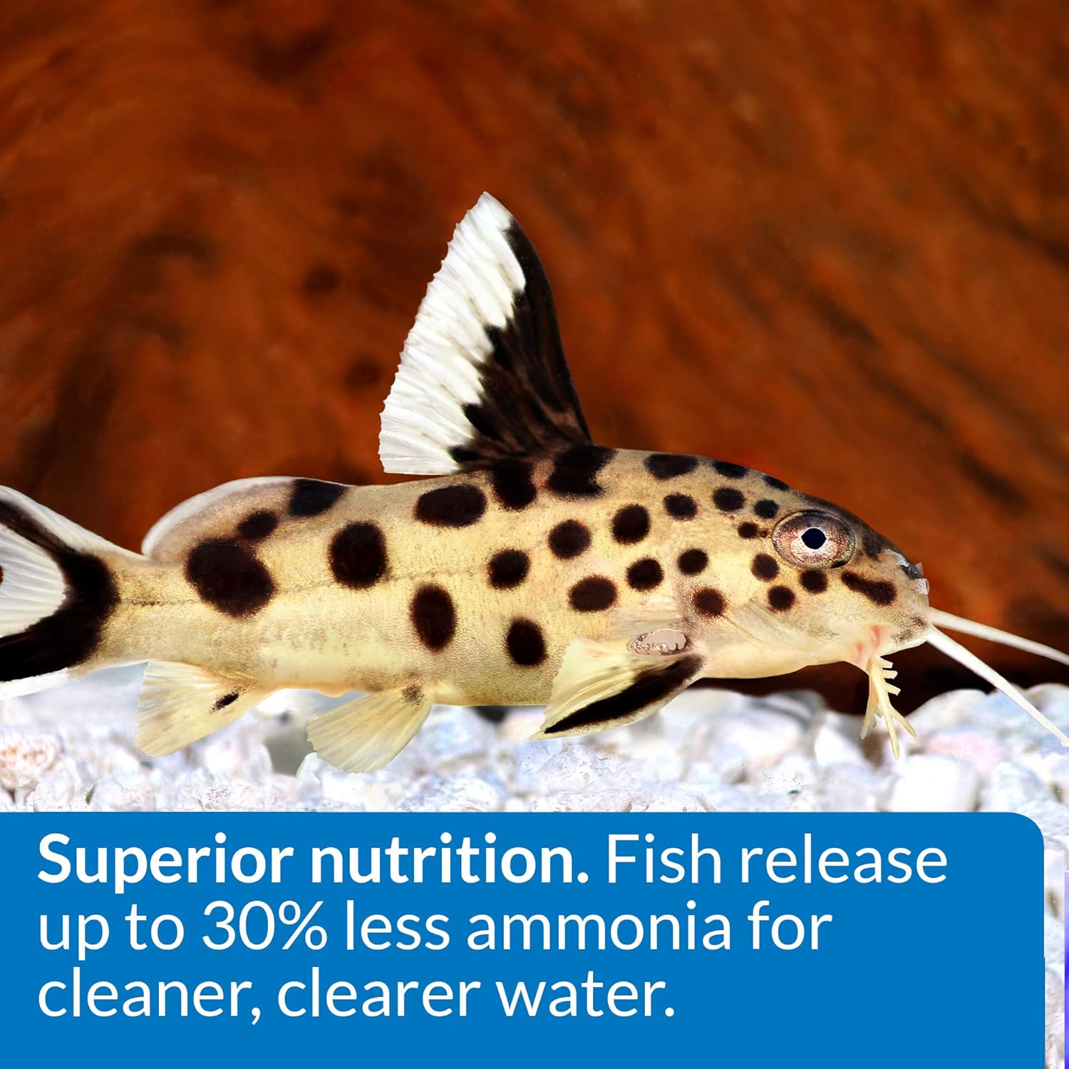 API Bottom Feeder Pellets With Squid 1.3 oz