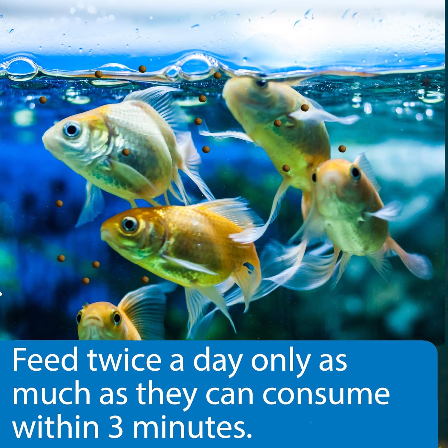 API Goldfish Pellets 4 oz