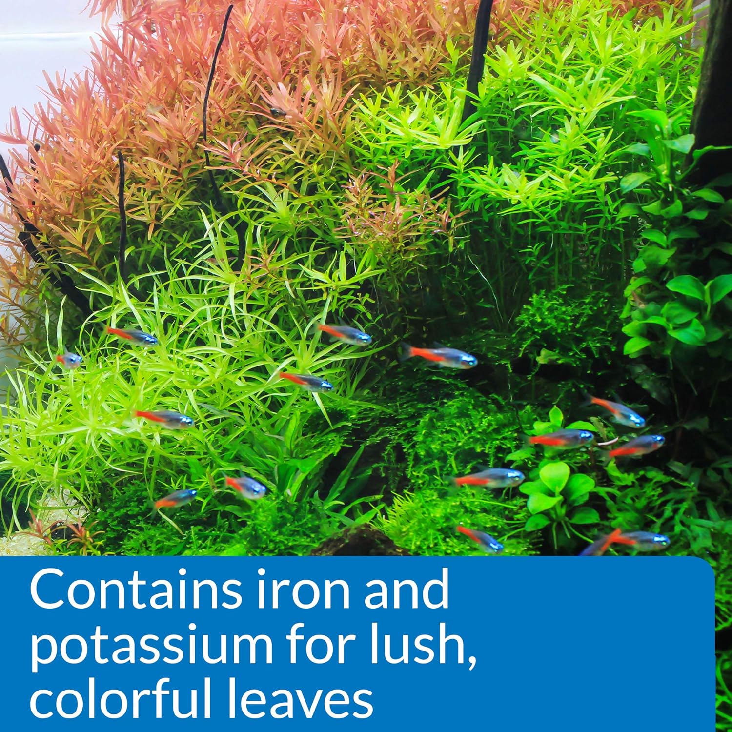 API Leaf Zone Freshwater Plant Fertilizer 16 oz