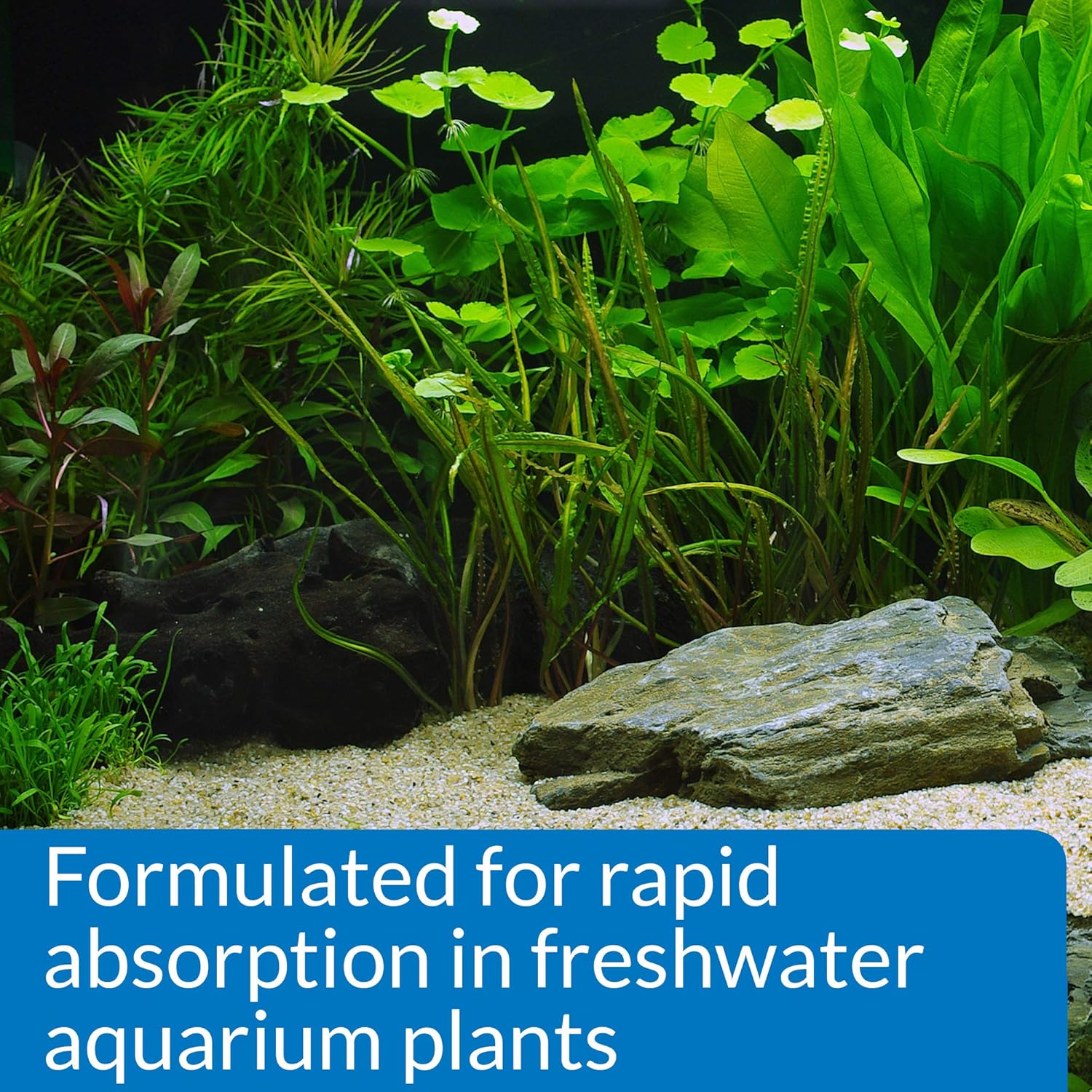 API Leaf Zone Freshwater Plant Fertilizer 16 oz