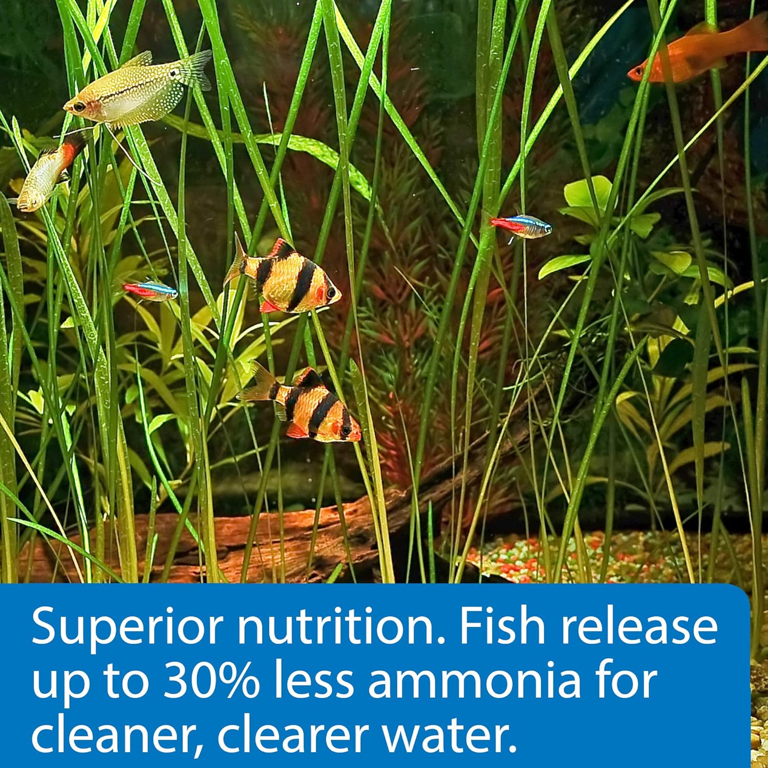 API Pellets Tropical Fish Food 4.2 oz