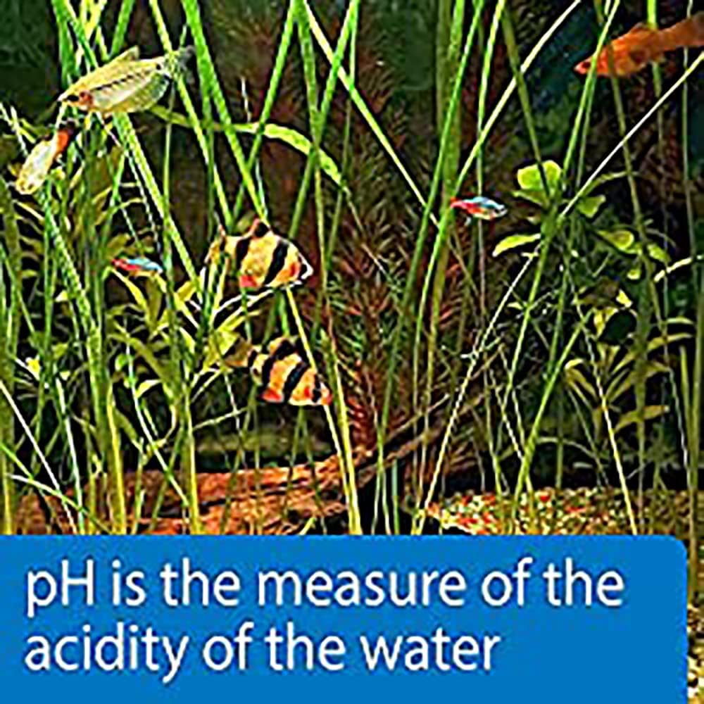 API pH Test Strips 25 count