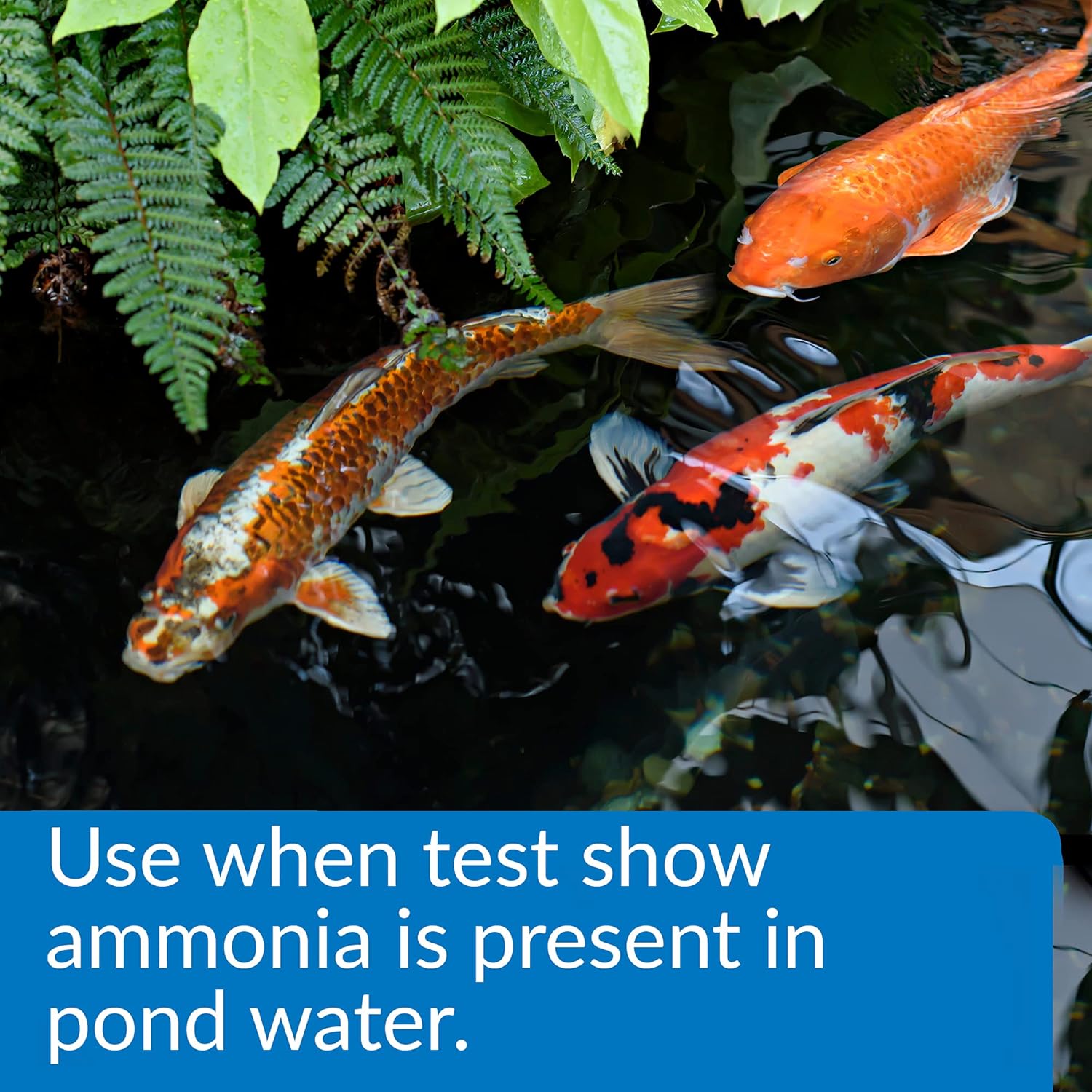 API Pond Ammo-Lock 16 oz