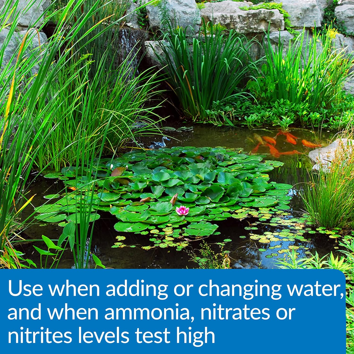 API Pond Aqua Essential 1 gal