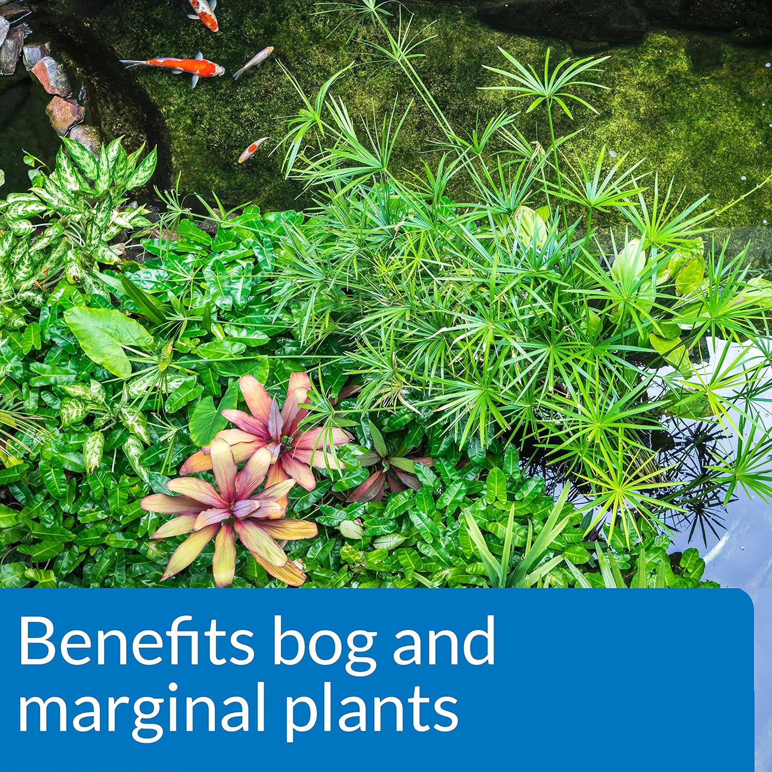 API Pond Aquatic Plant Food 25 Tabs