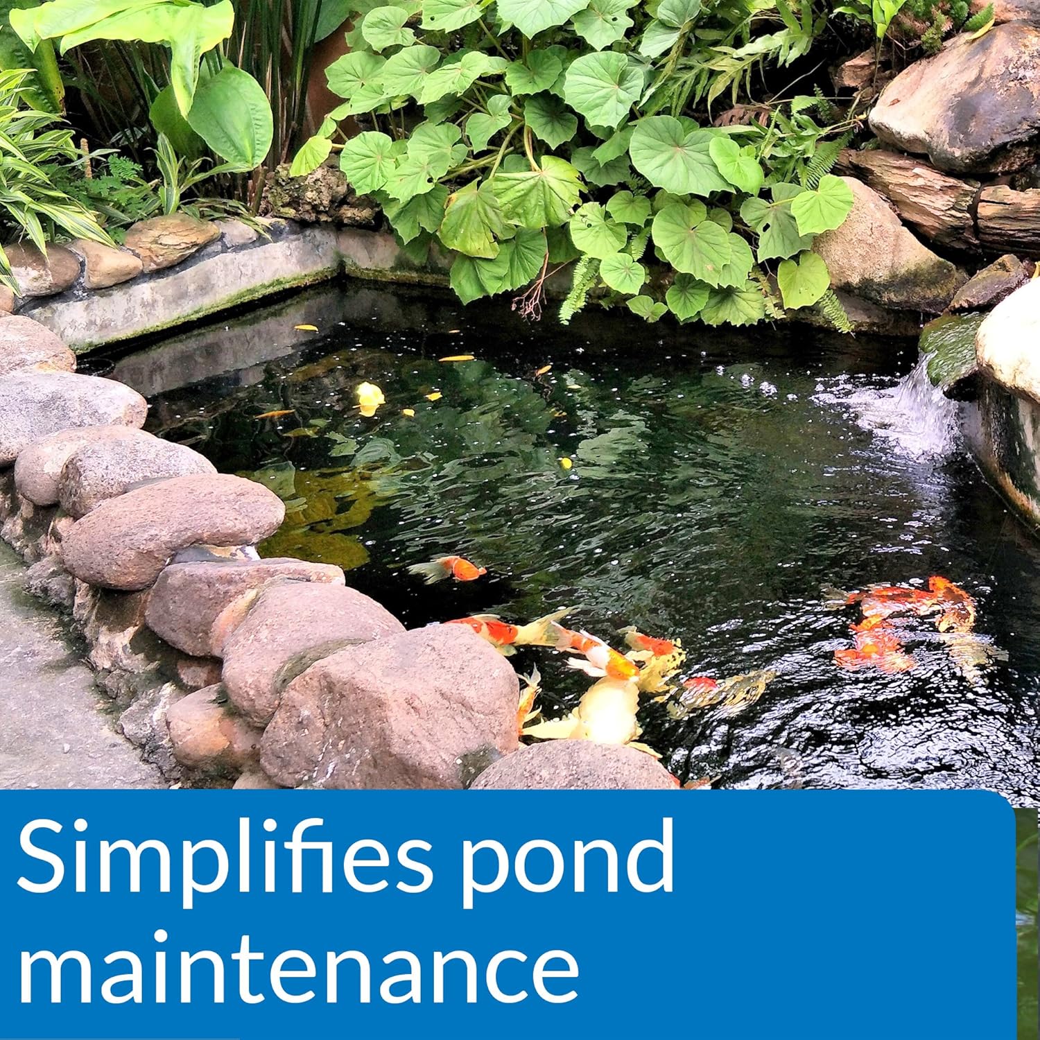 API Pond Ecofix Sludge Destroyer 16 oz