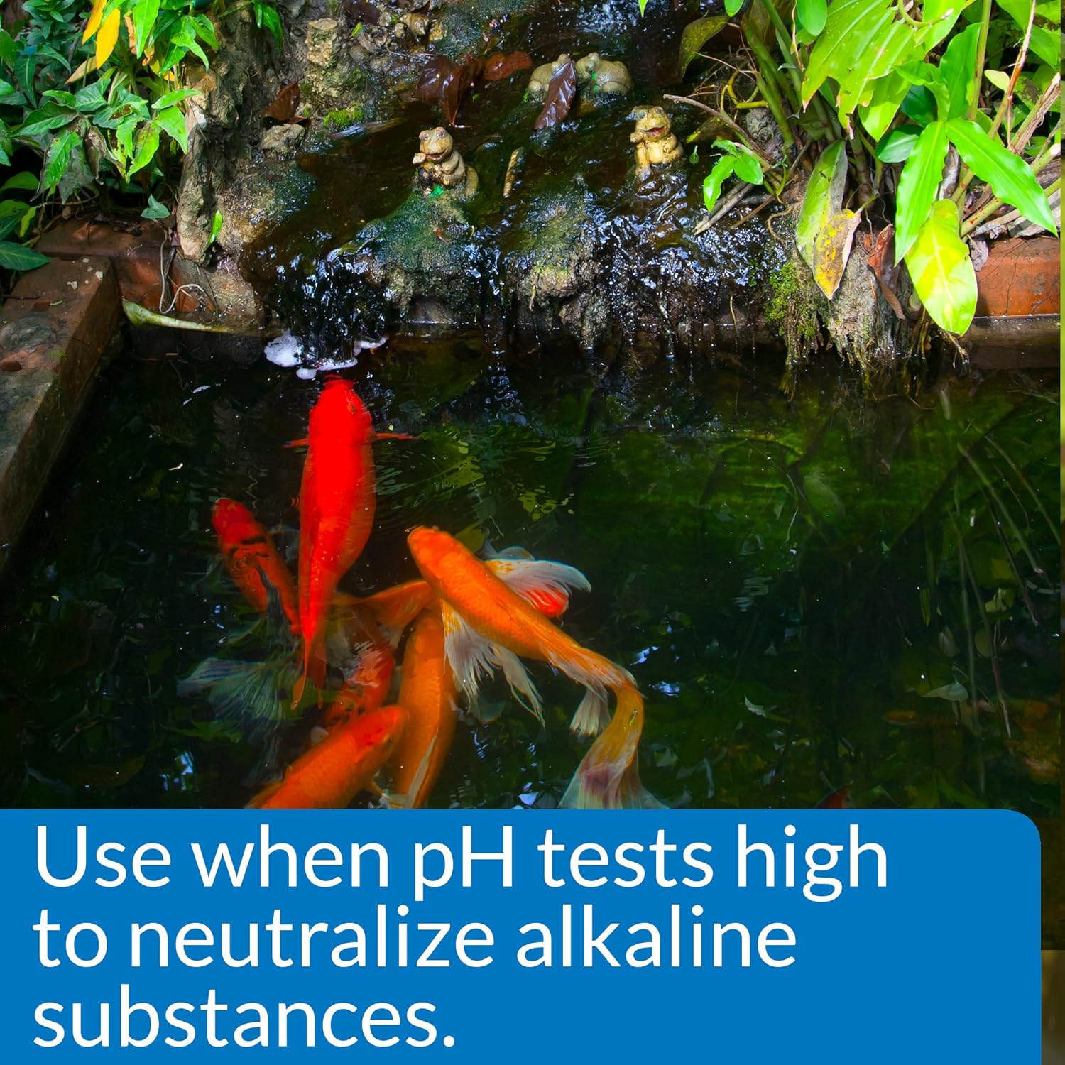 API Pond pH Down 16 oz