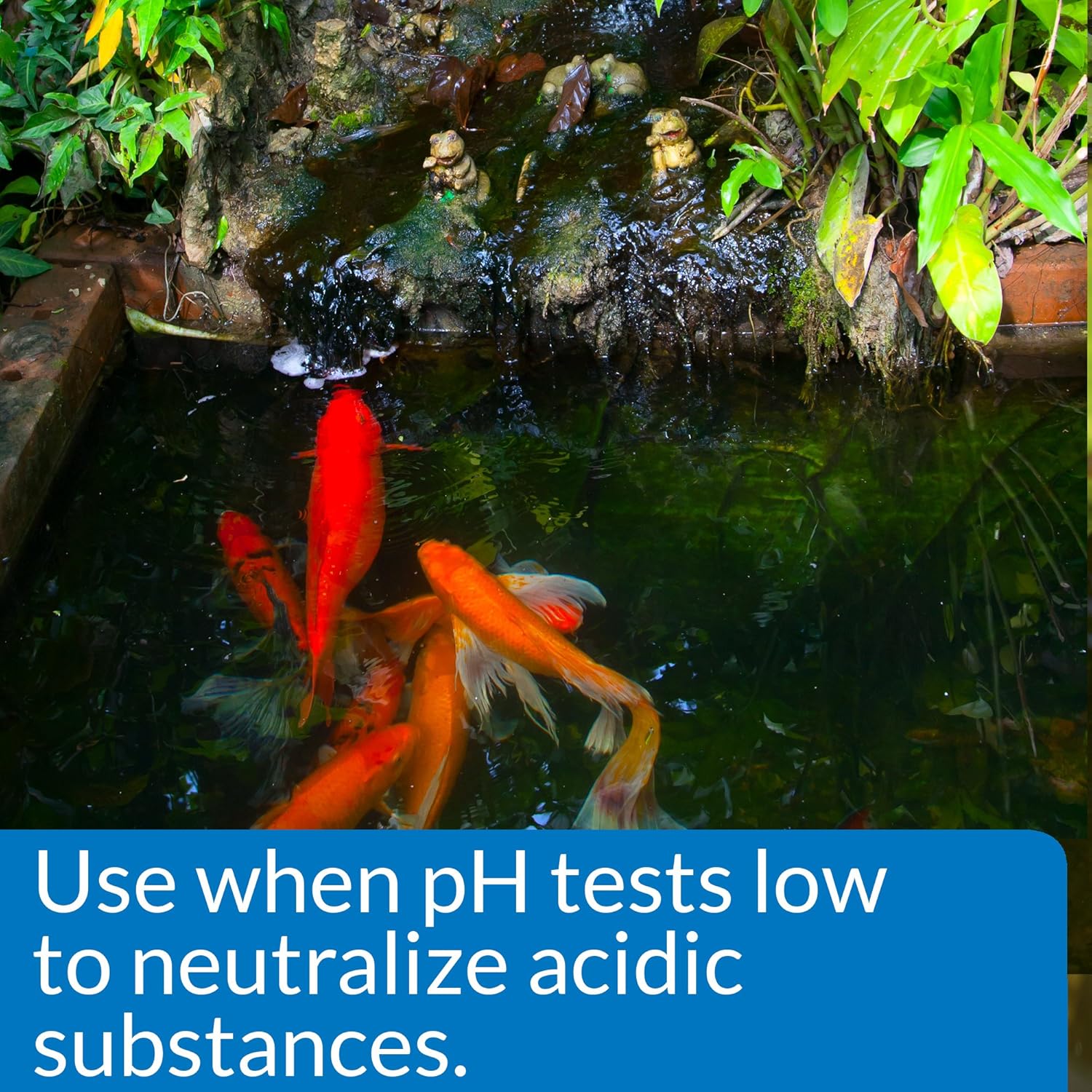 API Pond pH Up 16 oz