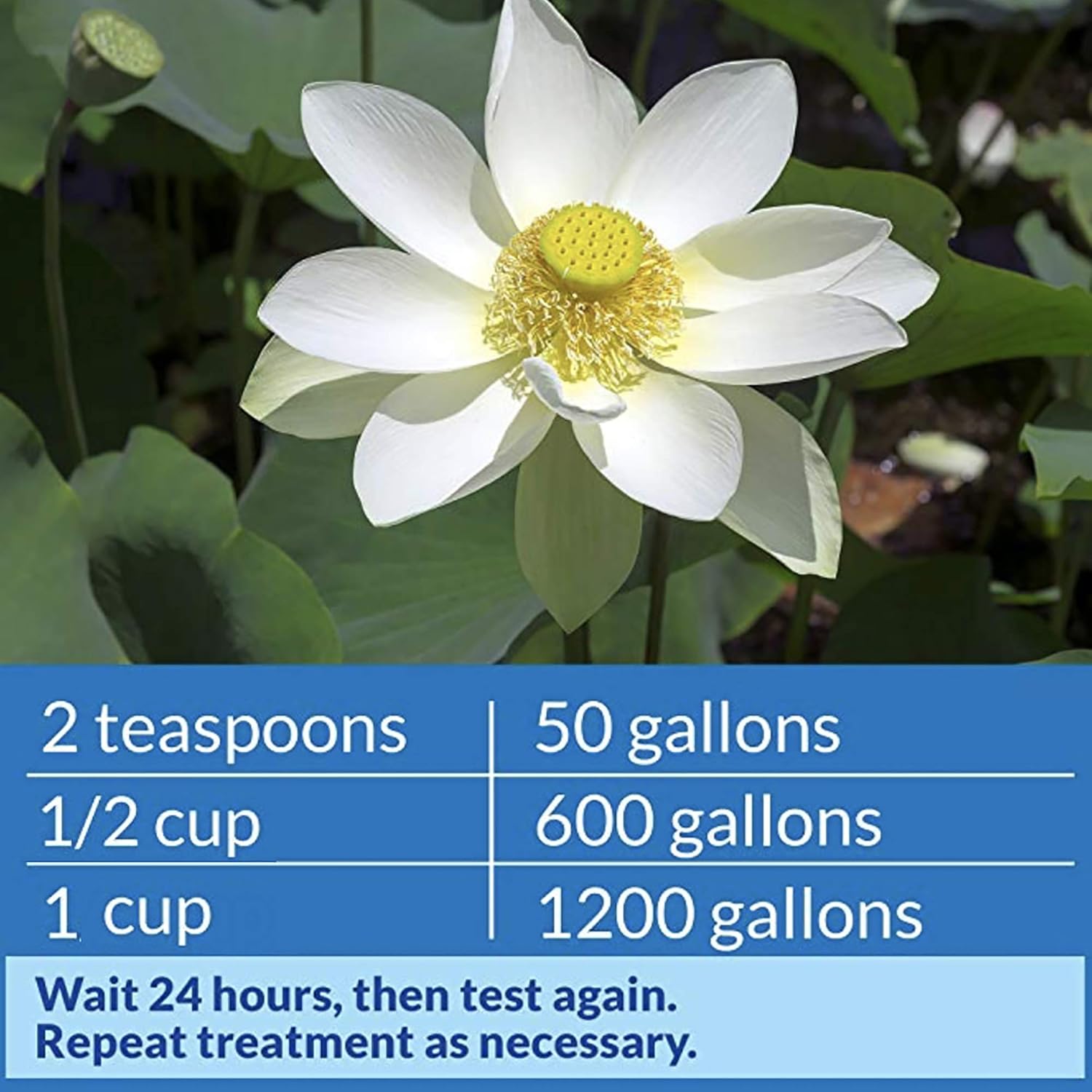 API Pond pH Up 16 oz