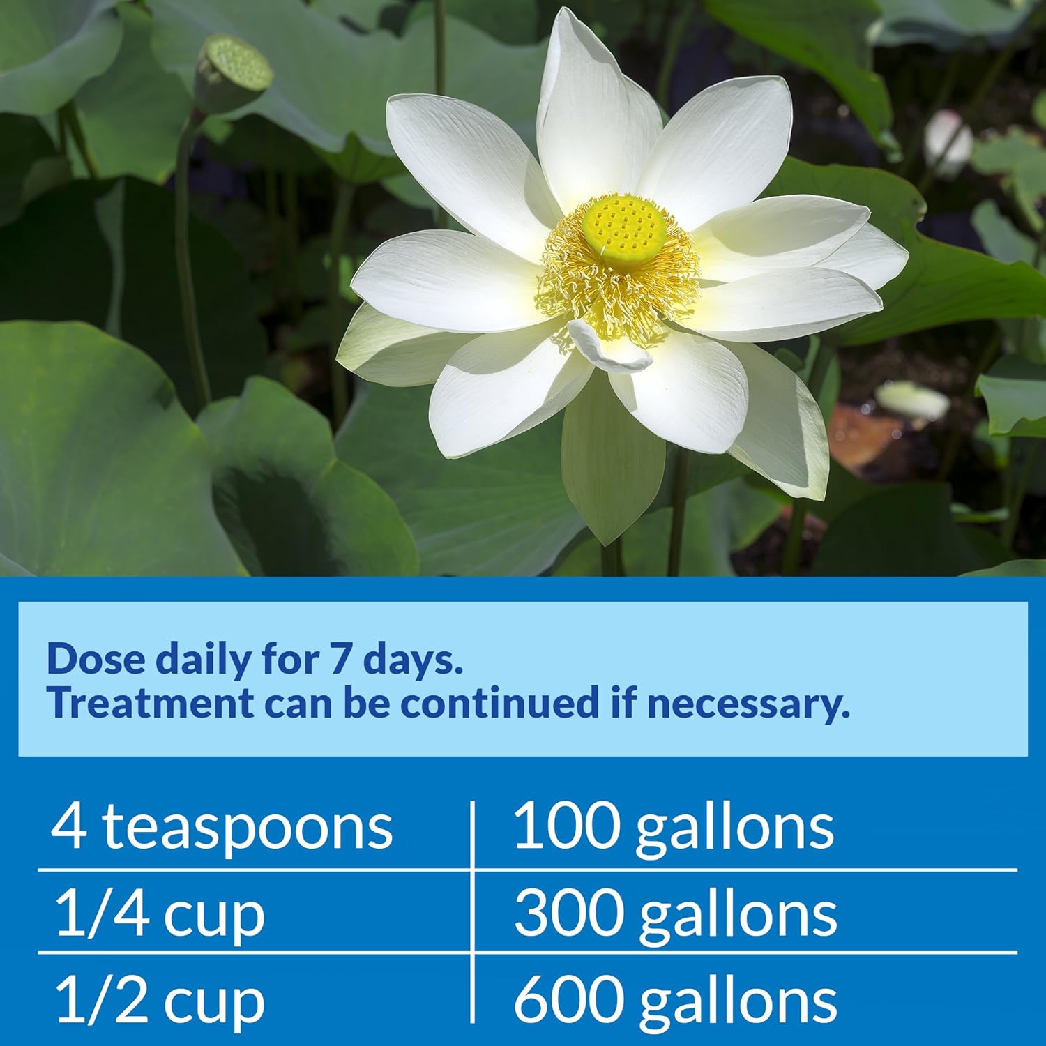 API Pond Pimafix 64 oz