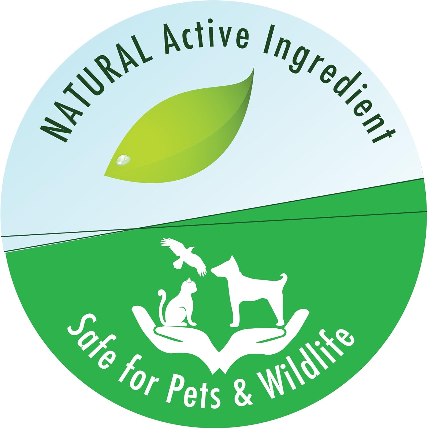 API Pond Zyme Sludge Destroyer 8 oz