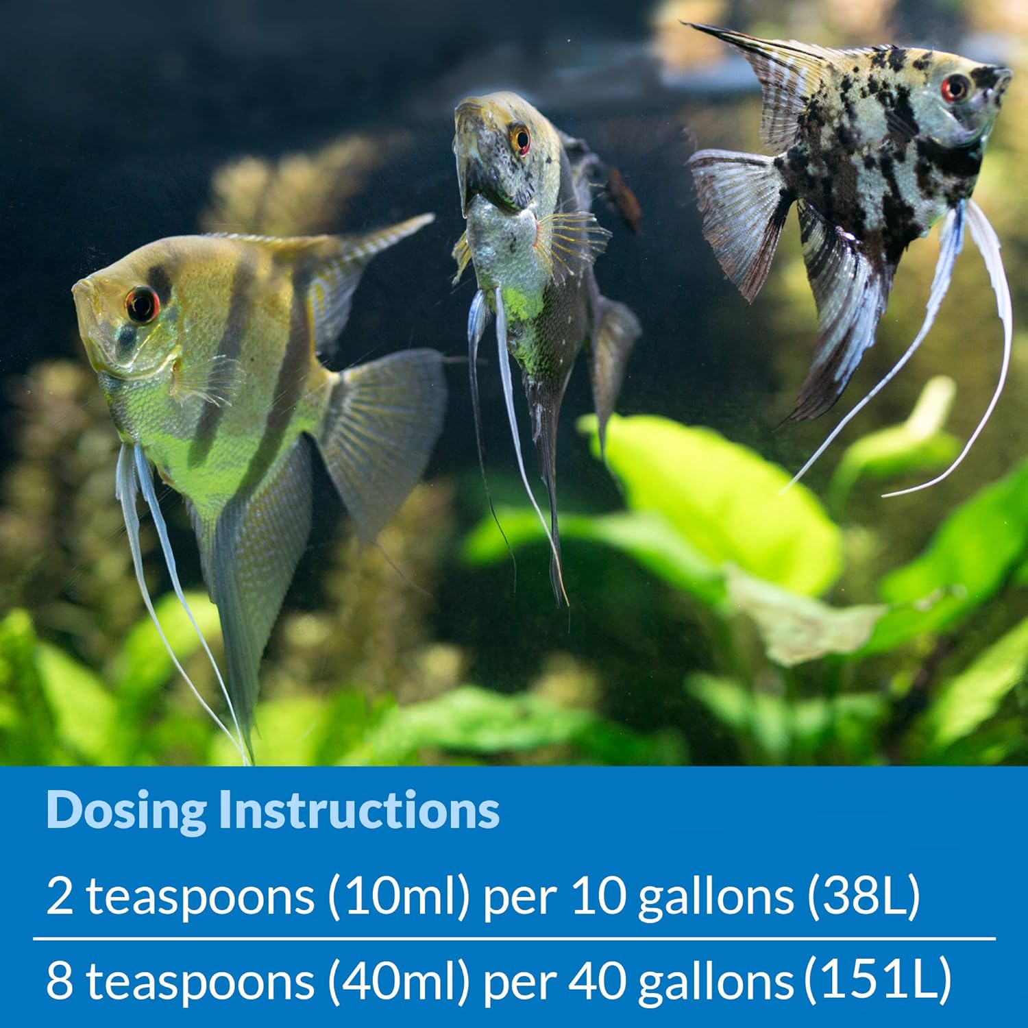 API Quick Start 32 oz