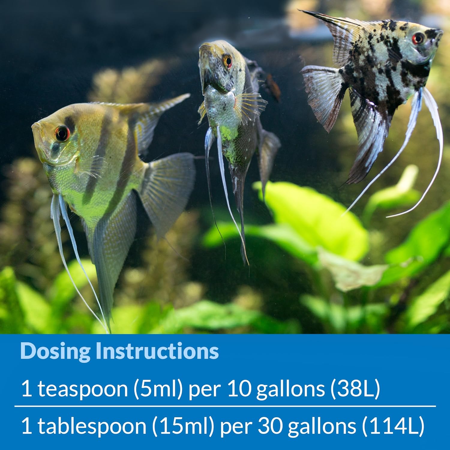 API Stress Coat 16 oz