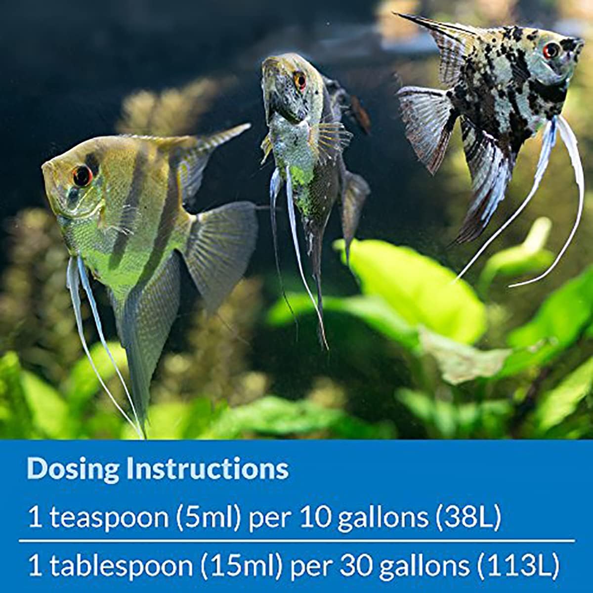 API Stress Zyme 8 oz