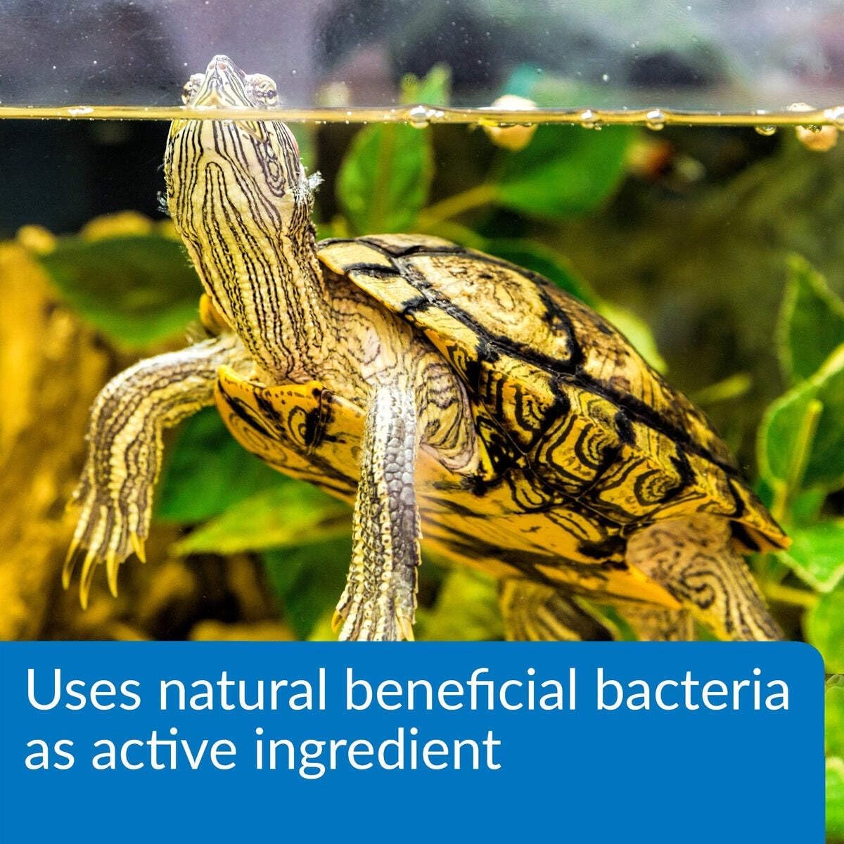 API Turtle Sludge Destroyer 8 oz