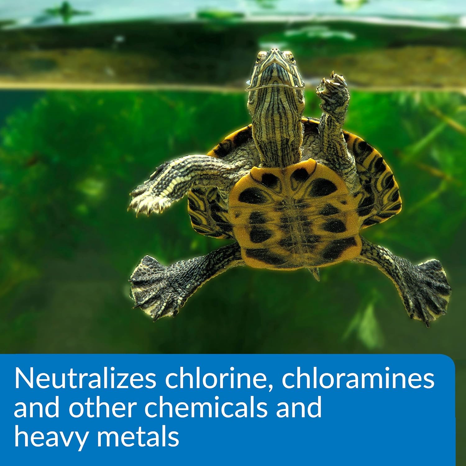 API Turtle Water Conditioner 8 oz