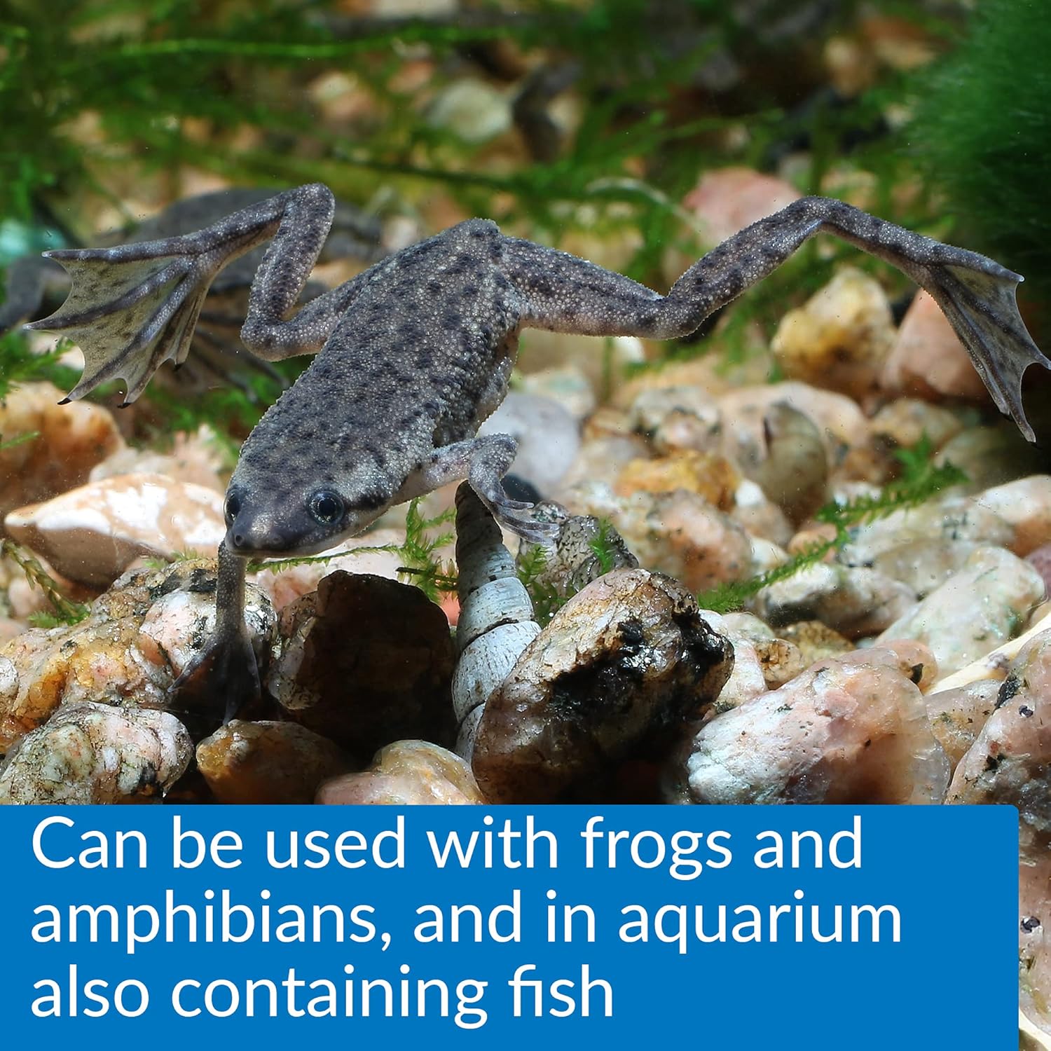 API Turtle Water Conditioner 8 oz