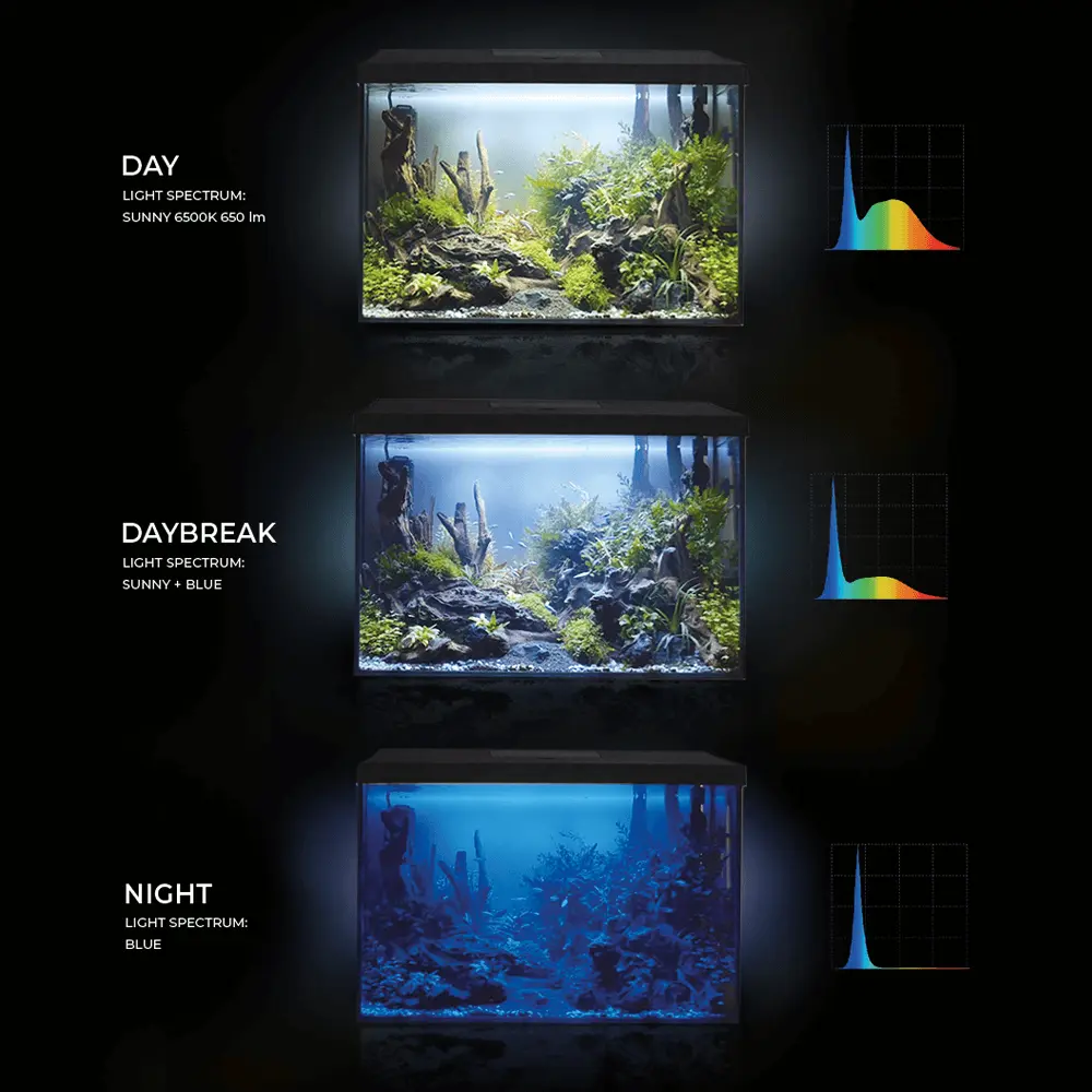 Aquael Leddy Aquarium Set XL Black Day & Night [Size - 40 cm]