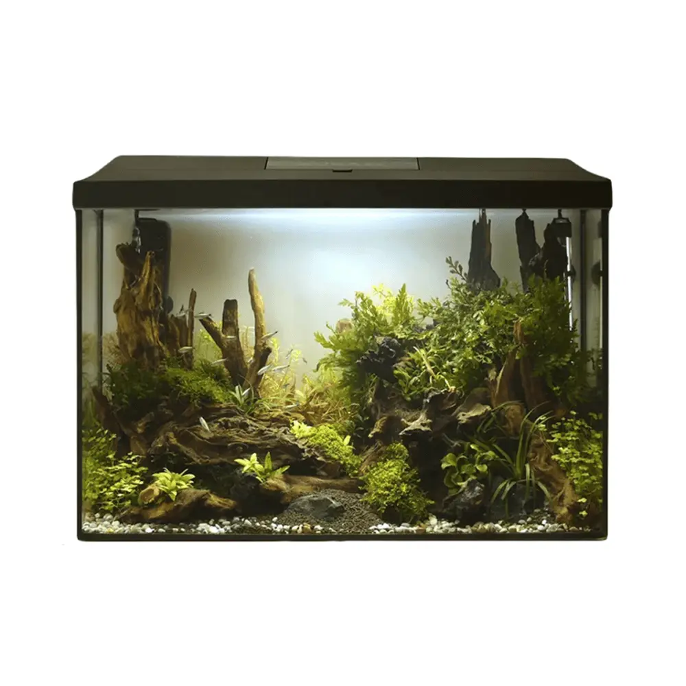 Aquael Leddy Aquarium Set XL Black Day & Night [Size - 60 cm]