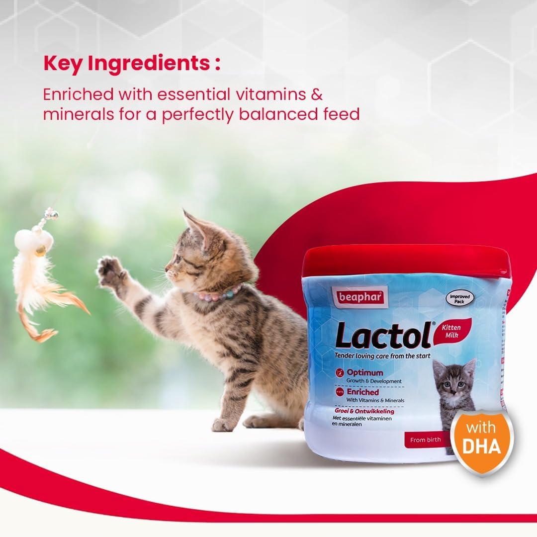 Beaphar Lactol Kitten 250 g