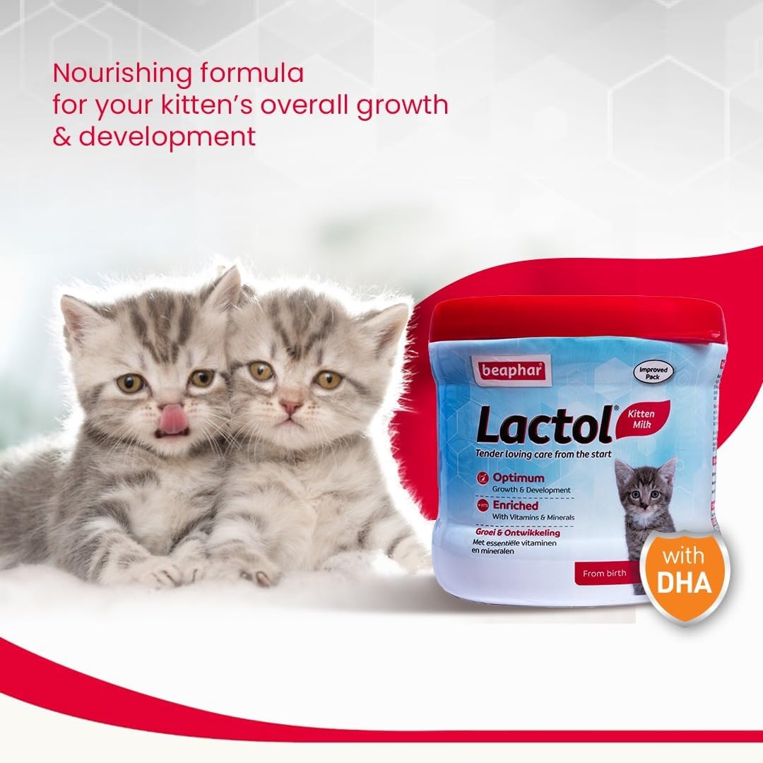 Beaphar Lactol Kitten 250 g