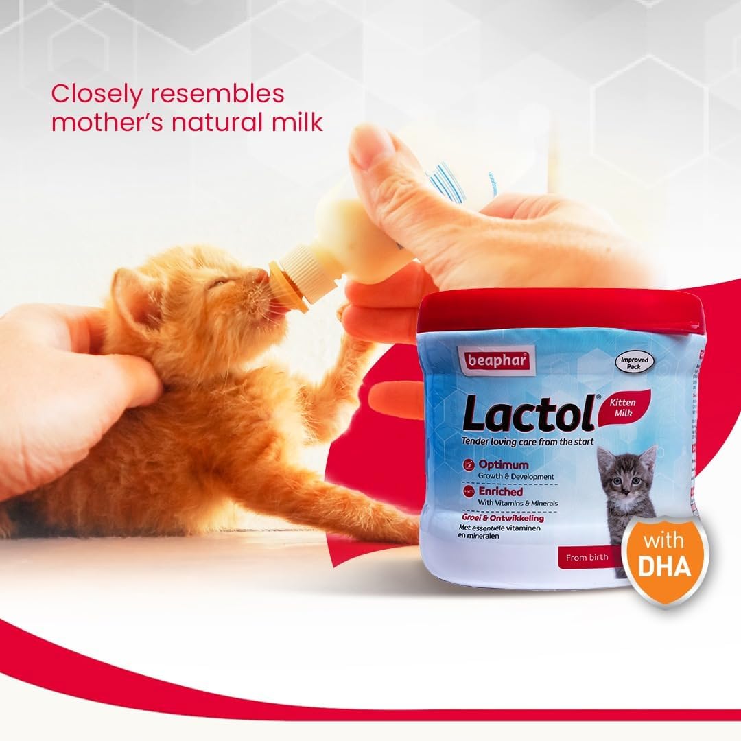 Beaphar Lactol Kitten 250 g