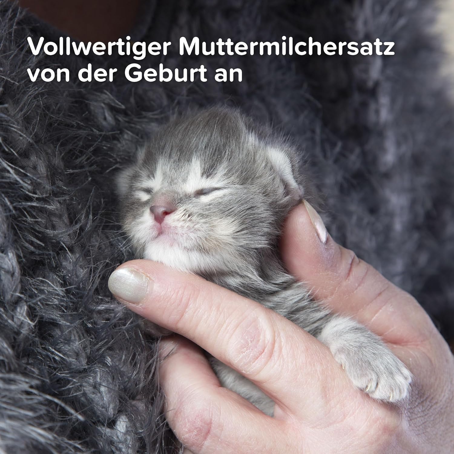 Beaphar Lactol Kitten 500 g