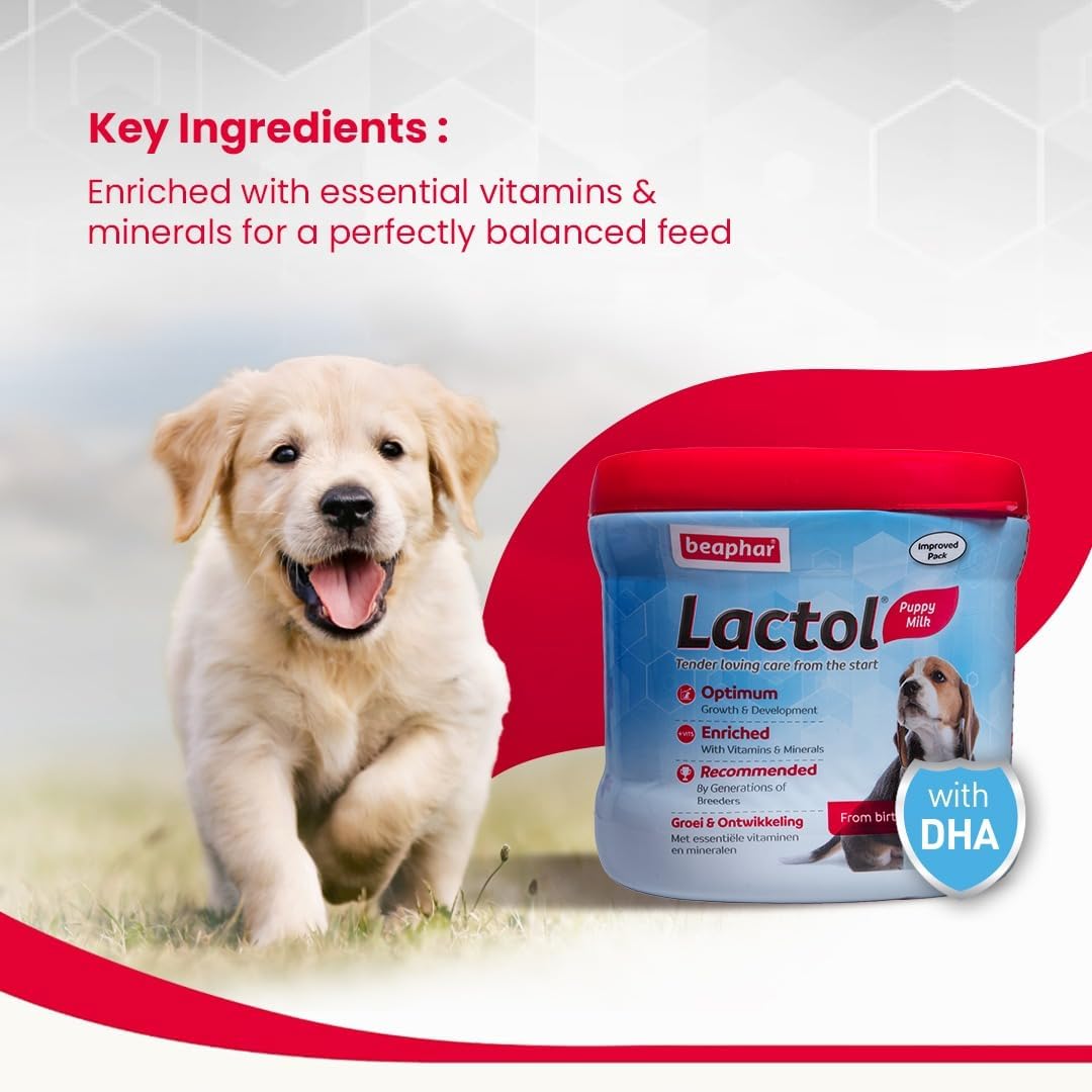 Beaphar Lactol Puppy 250 g