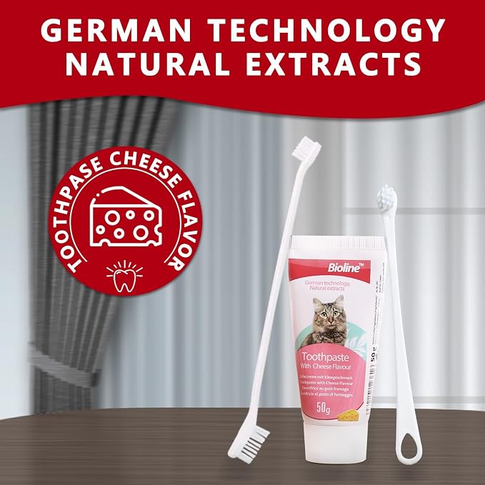 Bioline Cat Dental Care Set Cheese Flavor