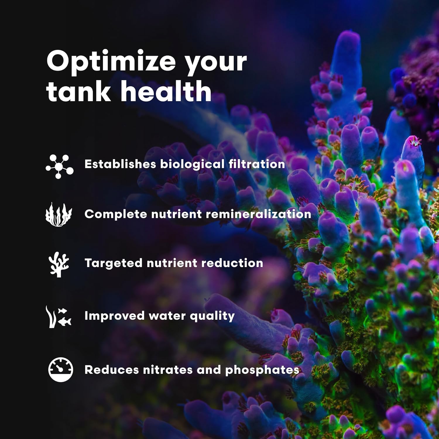 Brightwell Aquatics MicroBacter 7 - 250ml